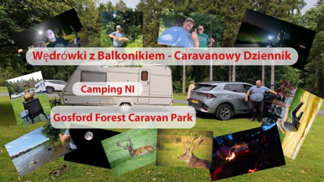 Gosford Forest Caravan Park 08 August 2025 Cover