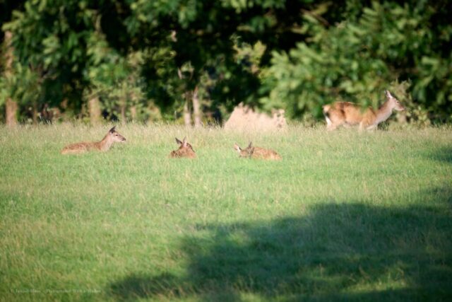 Glenariff Caravan Park