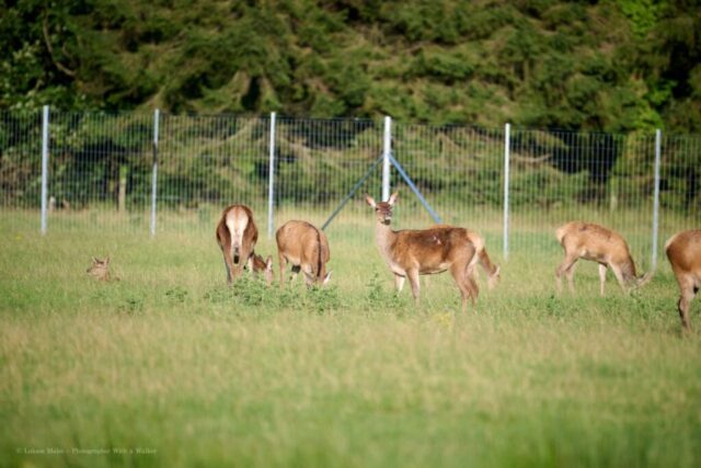 Glenariff Caravan Park
