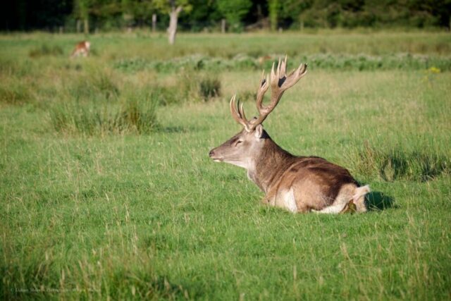 Glenariff Caravan Park