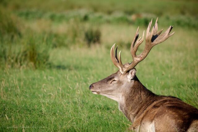 Glenariff Caravan Park
