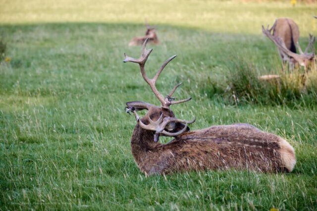 Glenariff Caravan Park