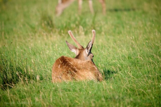 Glenariff Caravan Park