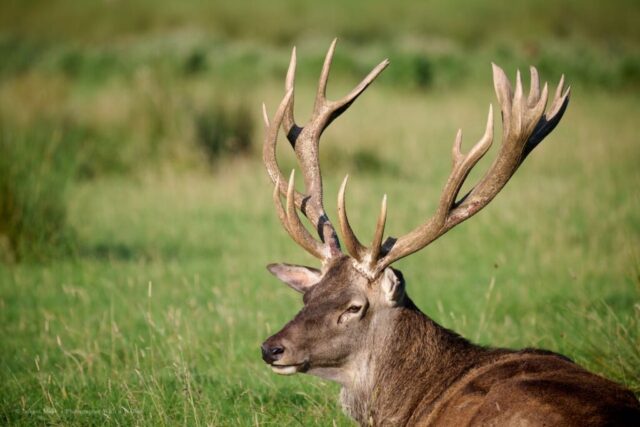Glenariff Caravan Park