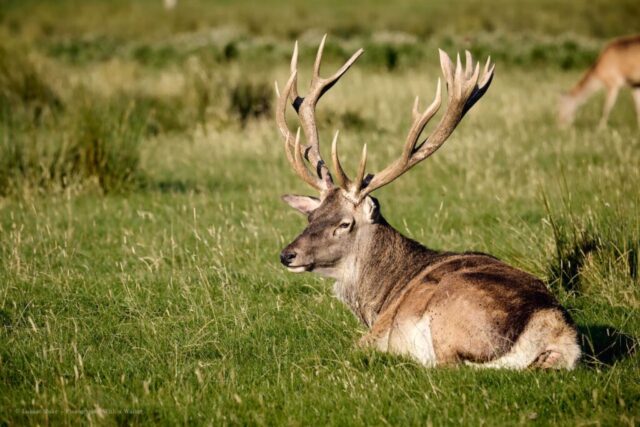 Glenariff Caravan Park