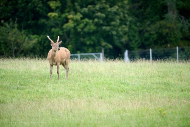 Glenariff Caravan Park