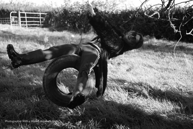 OhVibe Creative Colective Vida Trash