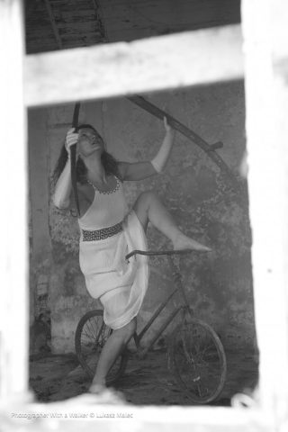 OhVibe Creative Colective Vida Trash