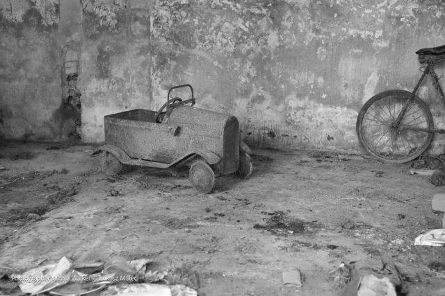 OhVibe Creative Colective Vida Trash